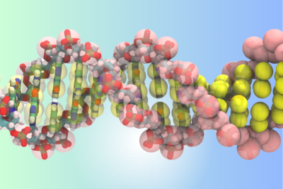 Martini Kraftfeld DNA